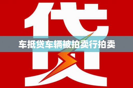 沙湾车抵贷车辆被拍卖行拍卖